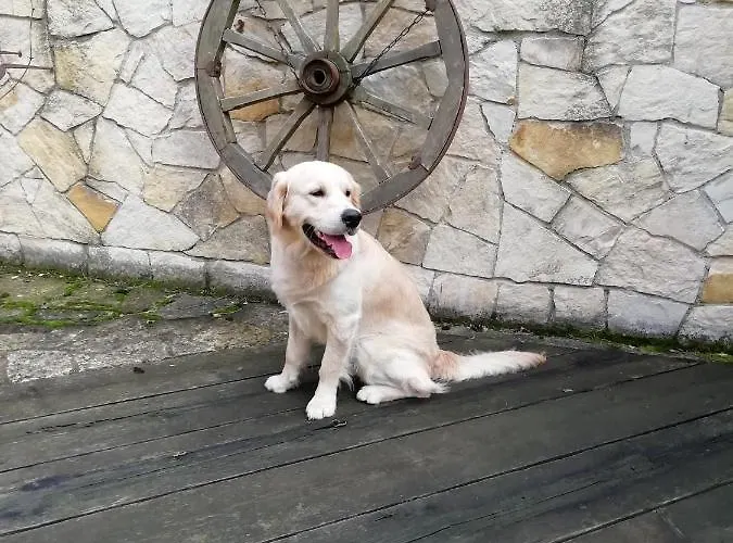 Andy Апартаменты